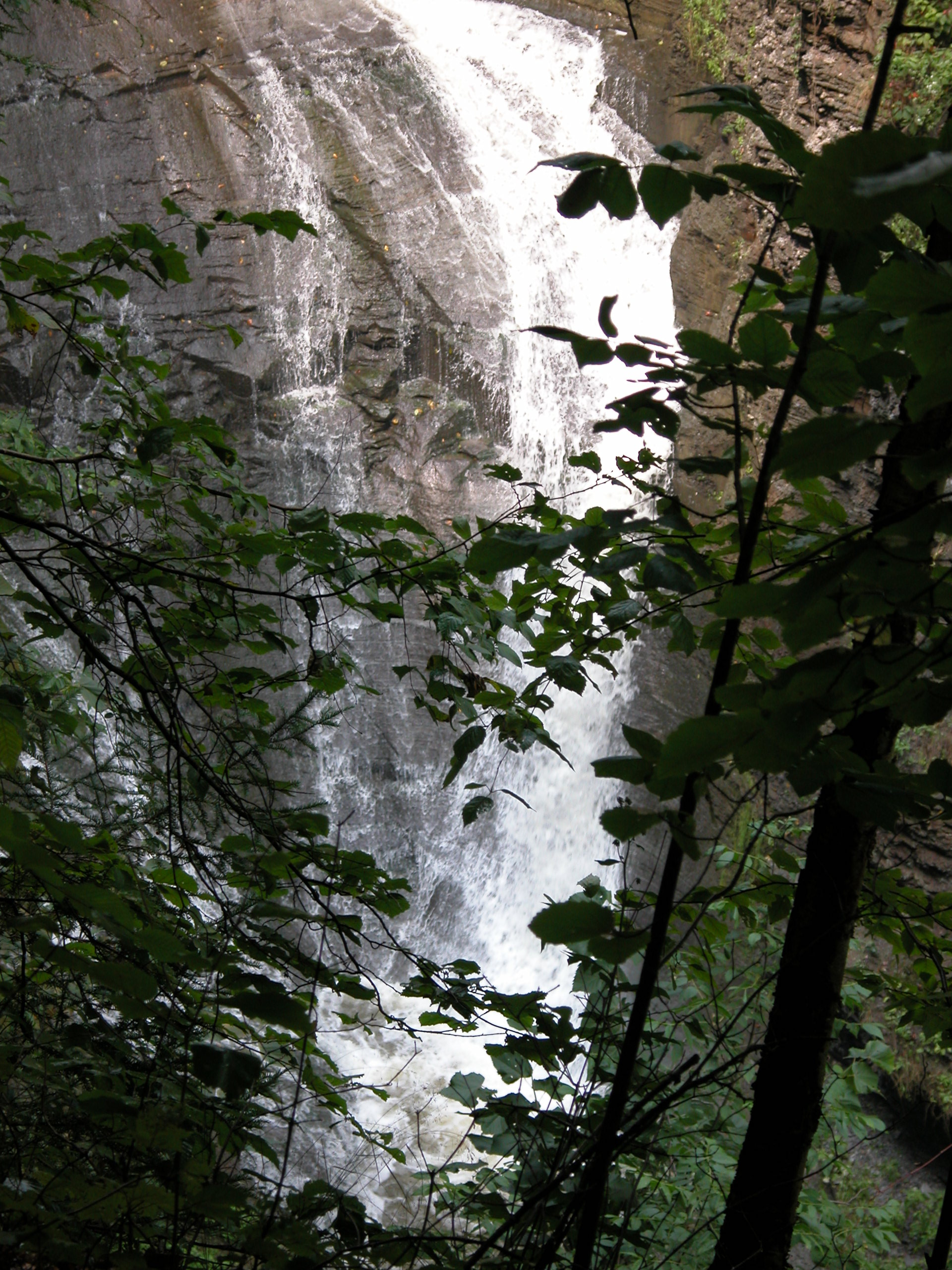 Waterfall on Wolfe creek